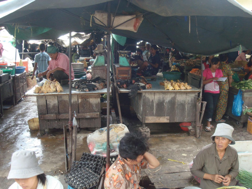 street market, Phnom Penh #SklepDrobiarski #PhnomPenh