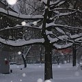 w zimowym garniturze