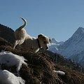 pierwsze spotkanie ze śniegiem i górami