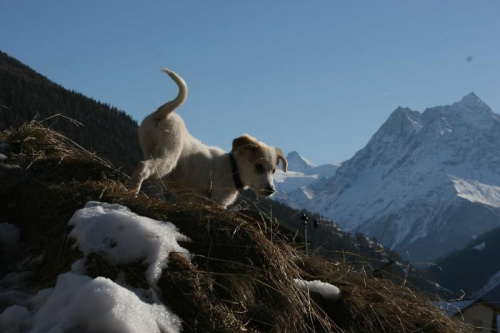 pierwsze spotkanie ze śniegiem i górami