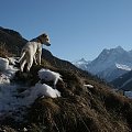 pierwsze spotkanie ze śniegiem i górami