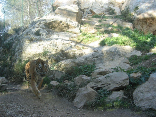 zoo w Barben