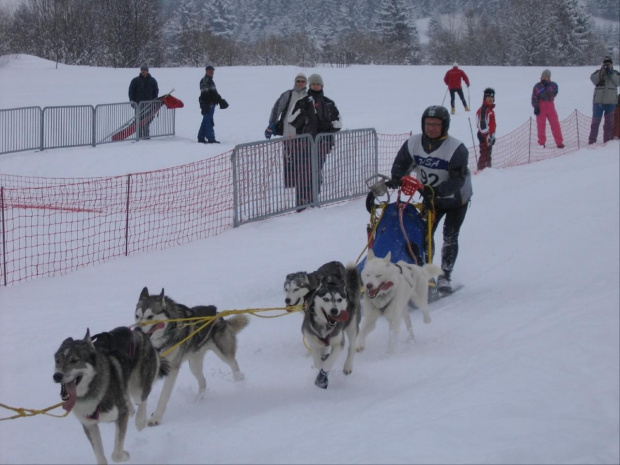 Zuberec - marzec 2006 - narty w Oravicy oraz w Zubercu i ME w psich zaprzegach #Zuberec #Oravice #Tatry #Narty #Słowacja #husky