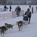 Zuberec - marzec 2006 - narty w Oravicy oraz w Zubercu i ME w psich zaprzegach #Zuberec #Oravice #Tatry #Narty #Słowacja #husky