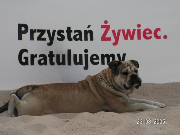 przystan zywiec