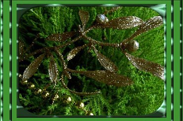 ...a na mojej "choince"... #świeta #choinka #inaczej