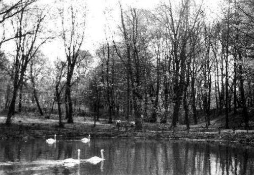 Nie istniejąca dzisiaj kamienica przy ul.Dąbrówki.Nie istniejące juz Kanonie przy Katedrze,Nie istniejąca zabudowa ,stare widoki Parku Miejskiego.Fotograficzny plener PTF Gniezno w parku Miejskim. Lata50-te dworzec i Kareja