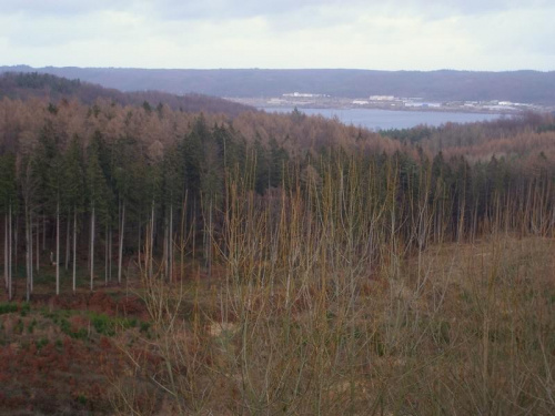 Widok z górnego zbiornika na wschodni brzeg jeziora Żarnowieckiego.