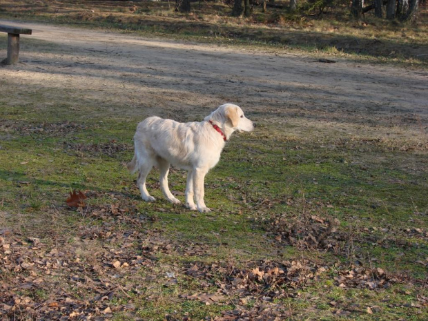 Kampinos 30-12-06