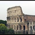 Coloseum