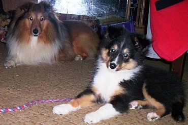 #Piksel_Lexus_130107