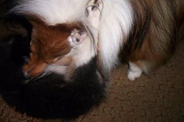 #Piksel_Lexus_130107