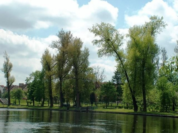 Park nad Pisą. Zdjęcie nieco zmodyfikowane kolorystycznie #Pisz #Pisa #rzeka #drzewa
