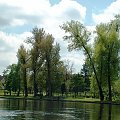 Park nad Pisą. Zdjęcie nieco zmodyfikowane kolorystycznie #Pisz #Pisa #rzeka #drzewa