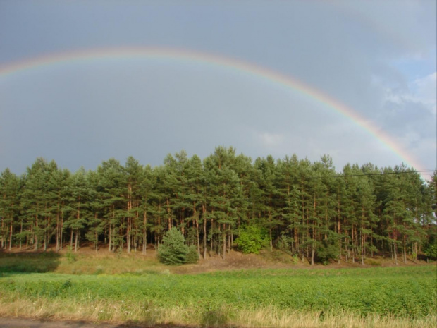 A to piękna tęcza po dość obfitym deszczu