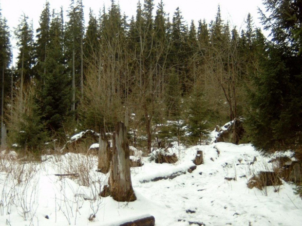 tatry,góry