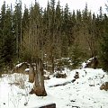 tatry,góry