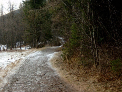 tatry