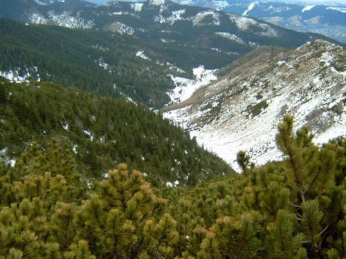 tatry