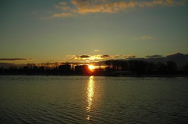 MALTA POZNAŃ - ŚNIEG NA MALCIE - 25-01-2007 #MALTAPOZNA #ŚNIEGNAMALCIE #Malta #jezioro #Śnieg2007