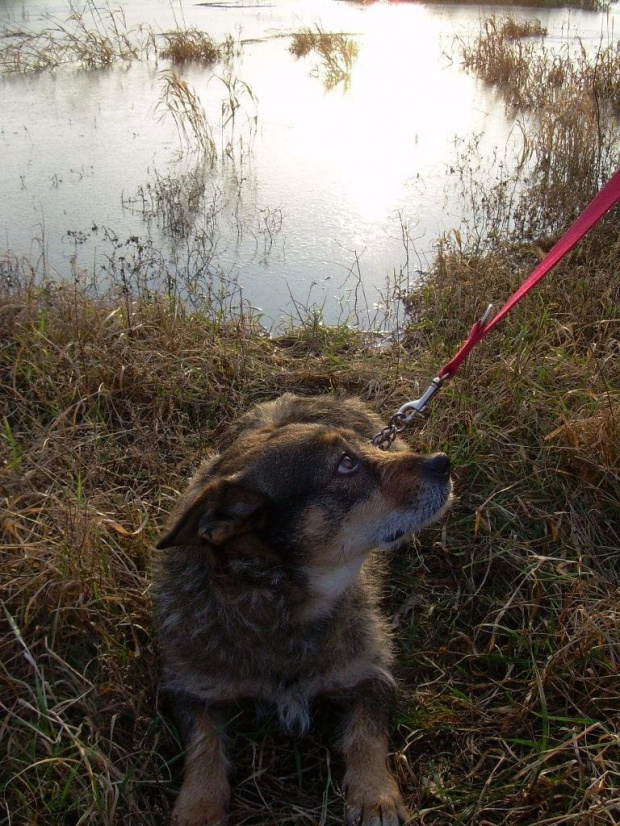 no i czego się ta Anka czepia przecież nic złego nie zrobiłam....to tylko kot.....w dodatku obcy.....