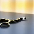stork scissors(bocianie nożyczki)
http://www.istoica.com/everyday/index.php?showimage=280 #SymbolikaBociana #WizerunekBociana