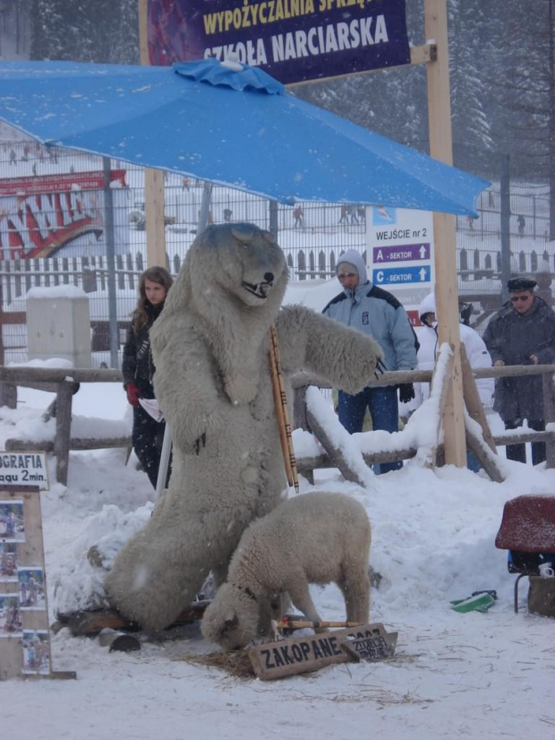 #zakopane