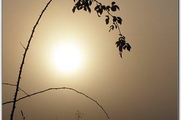 Lampion we mgle #wschód #wschody #niebo #krajobrazy #słońce #jesień #mgła #droga #drzewa #spacery