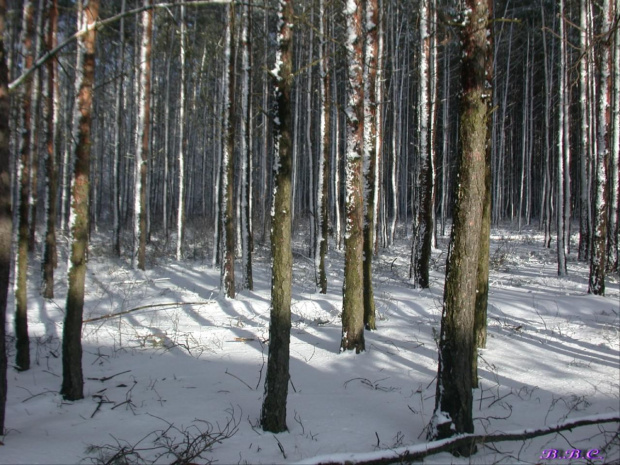 cisza, słońce, śnieg...