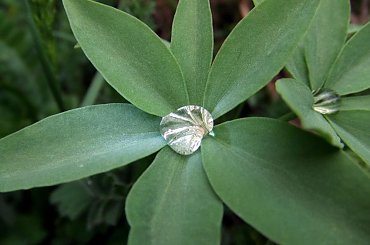 #Uzbekistan #Azja #gory #rosliny