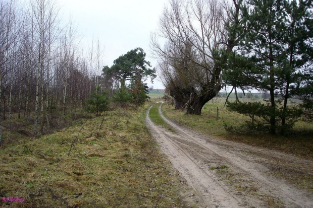 Okolice Orzysza #Remes #Mazury #Pisz