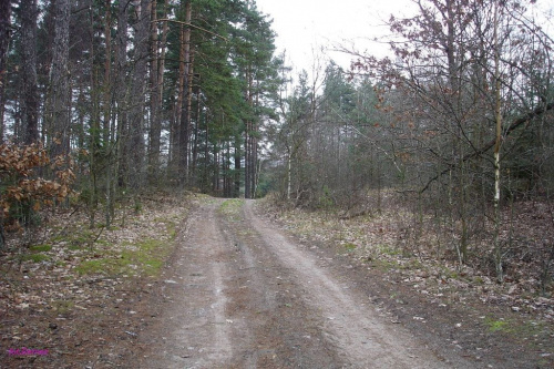 Okolice Orzysza #Remes #Mazury #Pisz