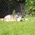 Alaska