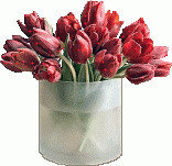 tulipany..