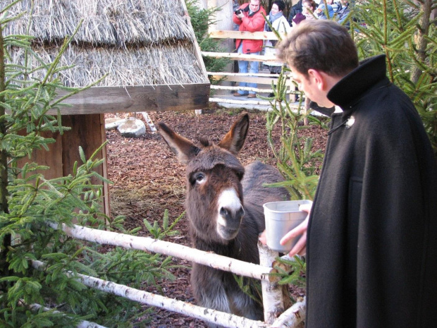 jeden z zakonników przyszedł dokarmić Amelkę