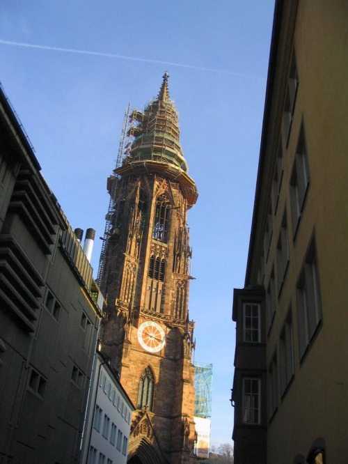 Freiburg Katedra