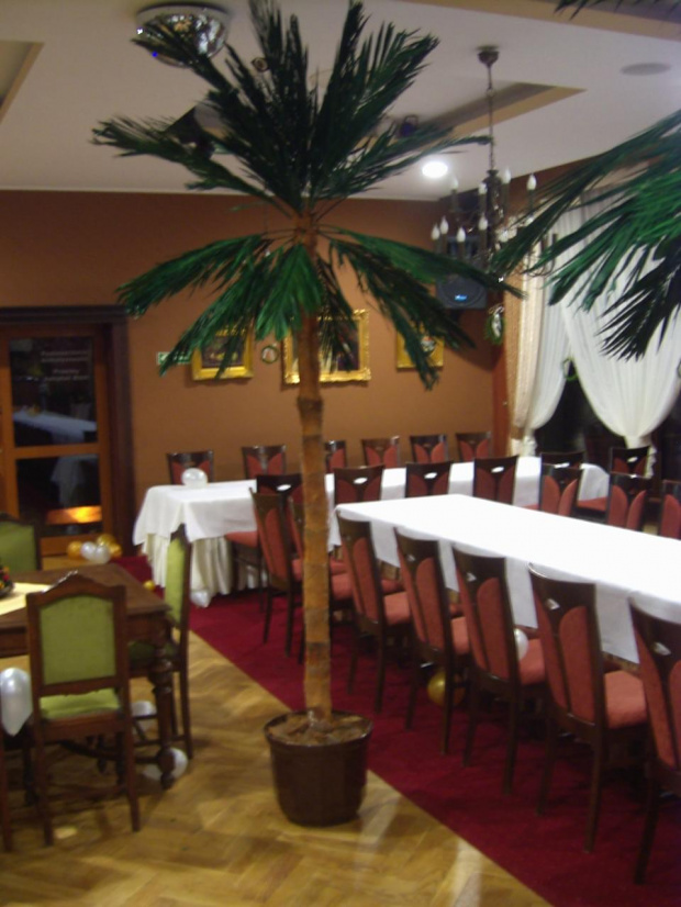 Palma 300cm. w Hotelu Kosmowski we Wrześni #palma #SztucznePalmy #CenyDrzew