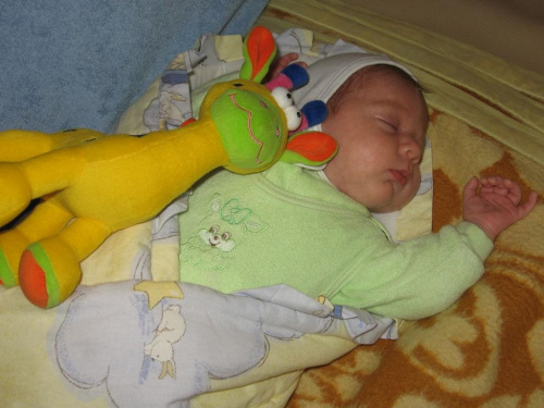 Olivierek urodził się 2.01.2007r. o godz. 23:20, ważył 2800, 51 długi. #uszefa #Olivierek