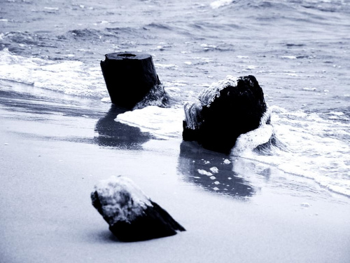 Fale Zalewu... [Śliwka]