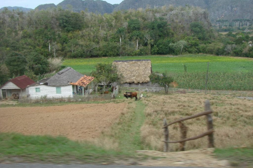 domki na Kubie