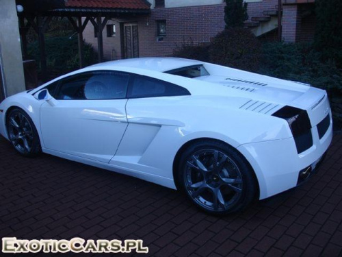 Gallardo