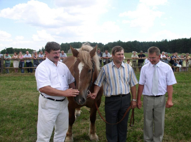 4039 GBł BUSOLA, 2002, kaszt.
po 1120 GBł Rols z (Rolltan-Egra)
od 3332 GBł Busata z (Relaks