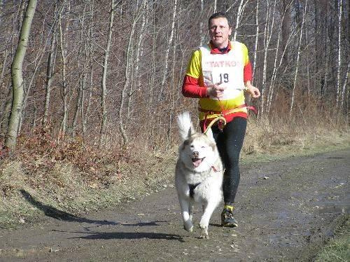 Zawody Zaprzęgowe Radocka Góra