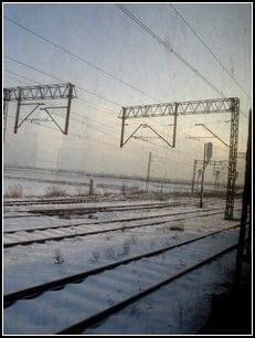 W pociągu - zdjęcia robione na odcinku Przeworsk - Leżajsk #pociąg