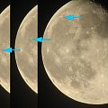 Nieznany obiekt śmigający przed tarczą Księżyca.
Data 2006.10.10, godzina 21.28
Fotki wykonane w odstępie około pół sekundy.