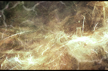 #sygnaturka #abstract #abstrakcja