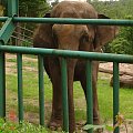WYCIECZKA DO ZOO Z HANIĄ PRZEMKIEM SZYMKIEM I LIVIĄ
