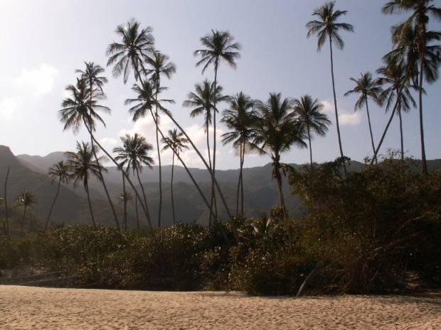 puerto colombia - wenezuela