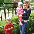 WYCIECZKA DO ZOO Z HANIĄ PRZEMKIEM SZYMKIEM I LIVIĄ
