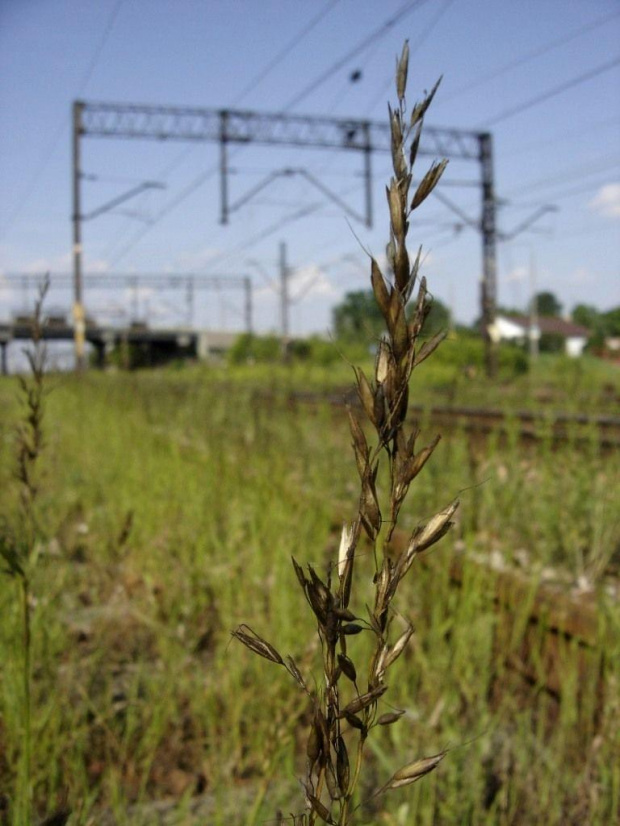 Radom Wschodni w dniu 06.06.2007